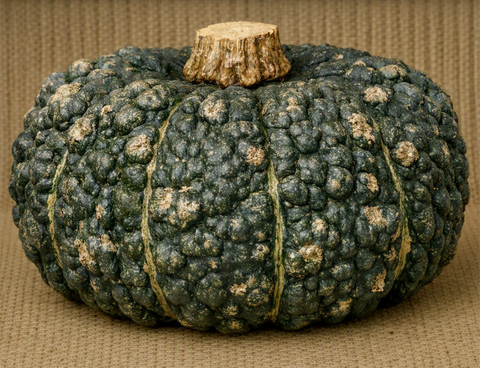 Ironbark Pumpkin