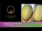 Crystal Apple Cucumber -  Seeds