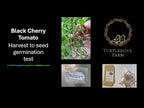 Black Cherry Tomato - Seeds